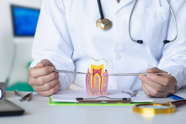 Best Emergency Dental Care for Abscessed Tooth in Killeen, TX